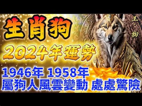 1958年屬狗|1958屬狗五行屬木詳解 58年屬狗中晚年運